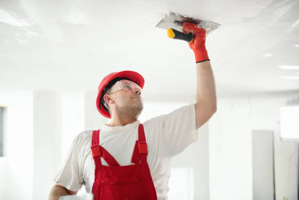 Dehumidification Services in Holyoke, MA